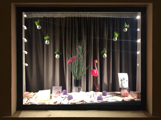 Vitrine Institut Maria Galland