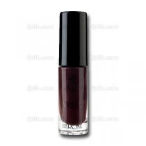 Vernis  Ongles W.I.C. Rouge  VALENCIA  Opaque n102 by Herme - Flacon 7ml